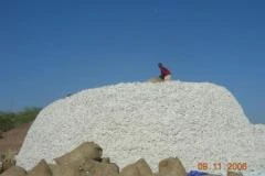 Sample Image 1