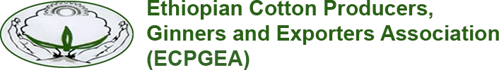 Ethiopian Cotton
